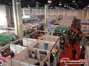 2015中國(guó)青島國(guó)際食用菌博覽會(huì) 信息技術(shù)引領(lǐng)產(chǎn)業(yè)變革